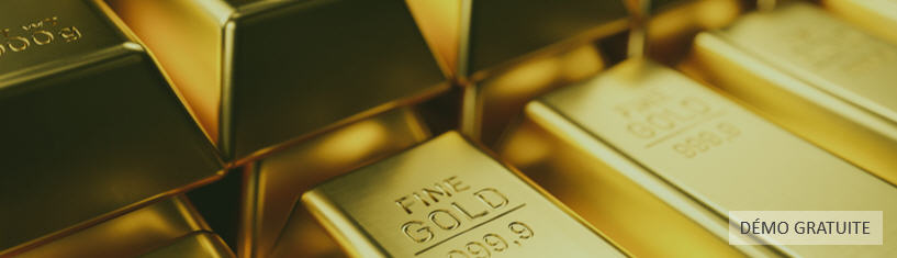 Investir dans de l'or ou acheter de l'or.